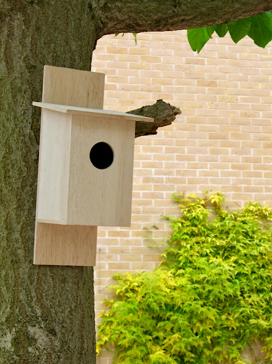 Bird box attached to a tree in the courtyard of the Saïd Business School, Oxford, 2007