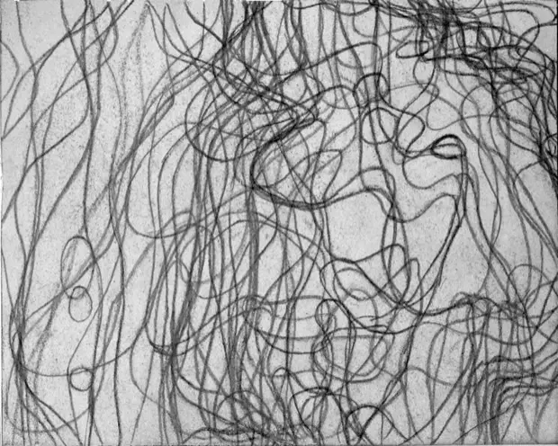 41 superimposed graphite traces based on isolated video frames of a violin performance