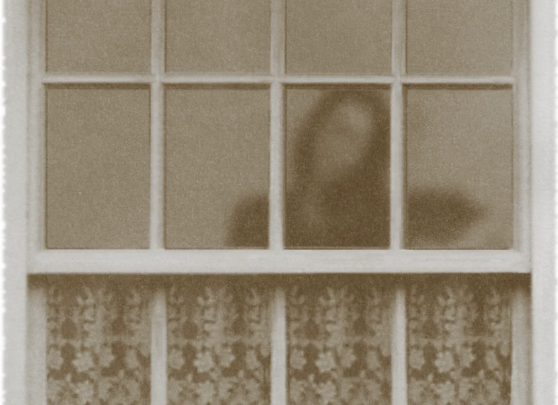 Sepia promotional image for The Soul Finds Rest in Unity: silhouette of a violinist visible behind a net-curtained window