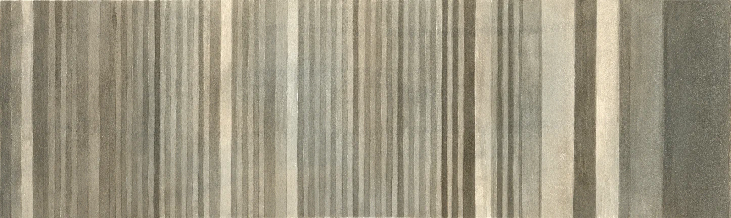 Graphical score representation of the Andante from J.S. Bach's Violin Sonata No. 2 in A minor, rendered as vertical coloured lines