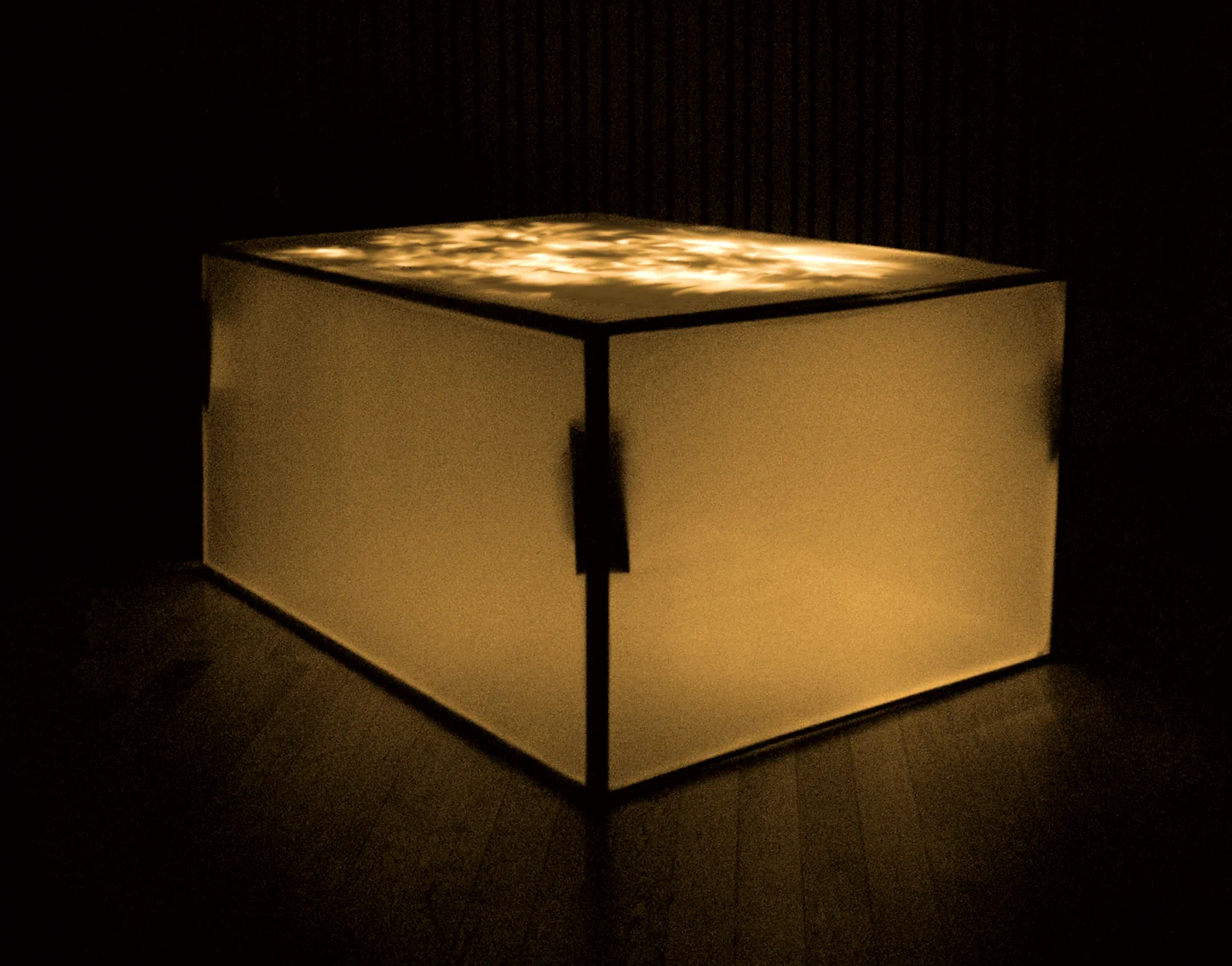 Bird Chamber installation in situ during a performance of As I Have Now Memoyre, Kings Place, London, 2009