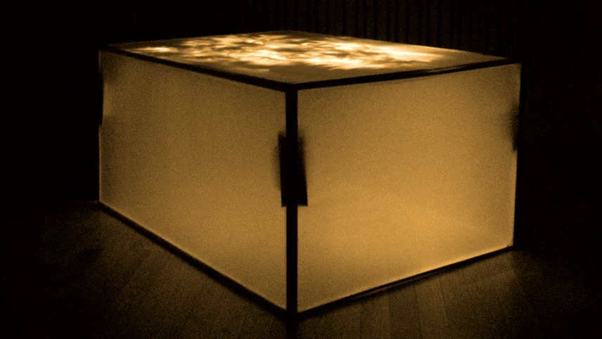 As I Have Now Memoyre, performance still (2008)