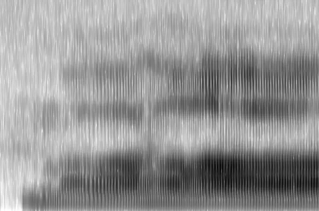 spectrogram from Chant by Nicholas Brown