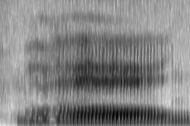 spectrogram from Chant by Nicholas Brown