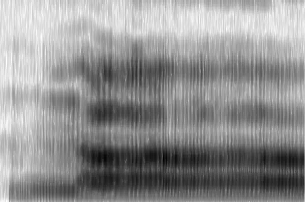 spectrogram from Chant by Nicholas Brown