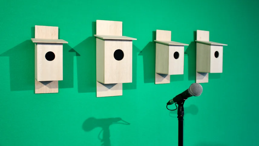 Installation view: four pale wooden birdboxes mounted on a bright green wall, with a microphone on a stand in the foreground
