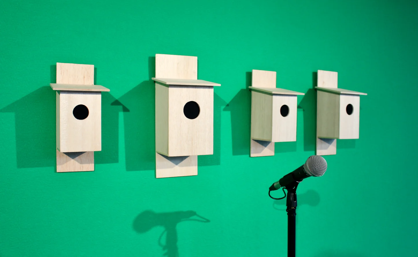 Installation view: four pale wooden birdboxes mounted on a bright green wall, with a microphone on a stand in the foreground