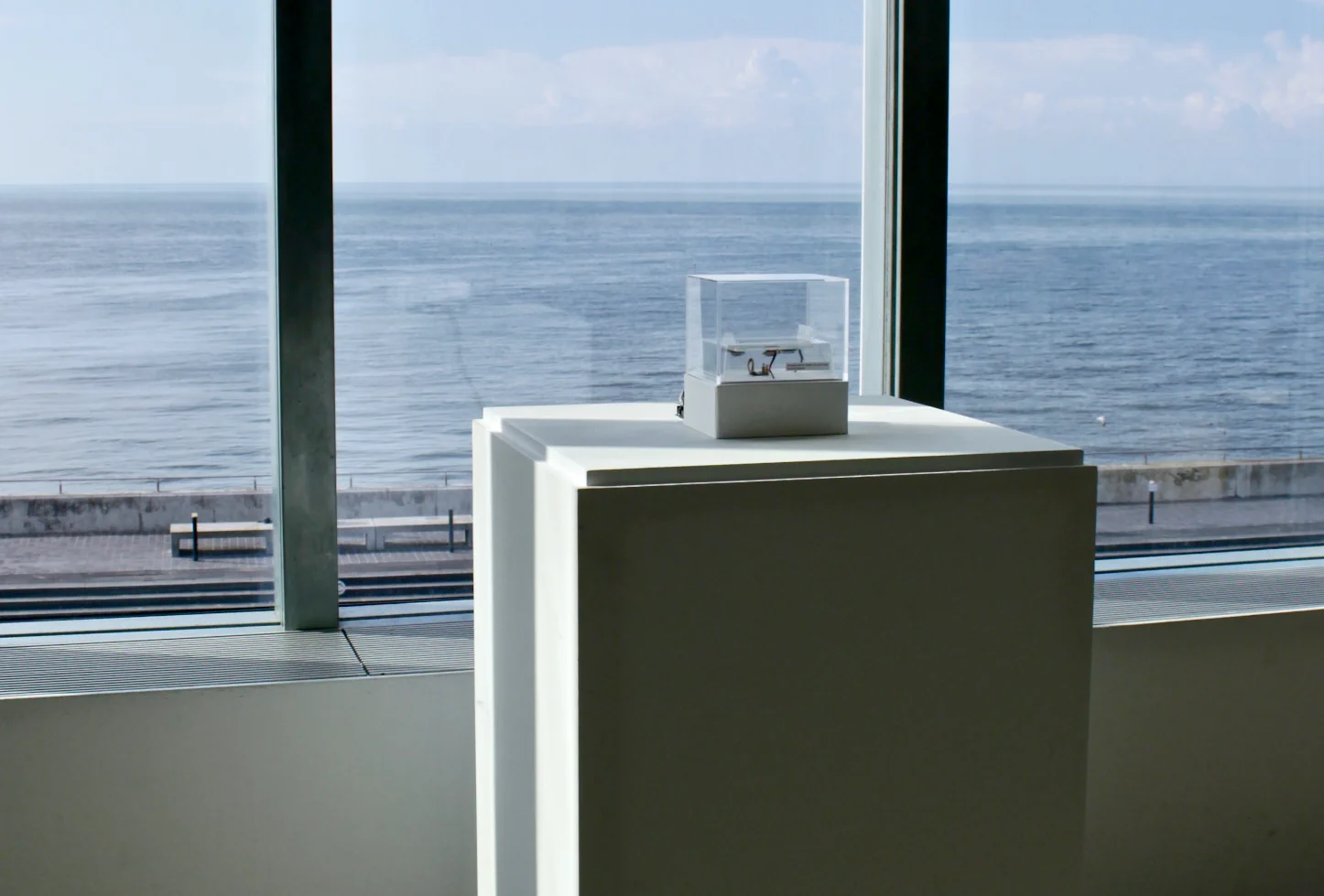 Installation view: a small object in a transparent display case on a white plinth, positioned in front of large windows overlooking the sea