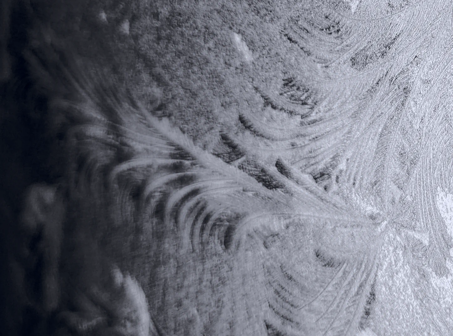 Abstract monochrome close-up of frost patterns on glass, with dark shadowed forms on the left and pale, feather-like striations sweeping across the image.