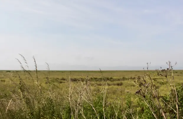 North Norfolk landscape